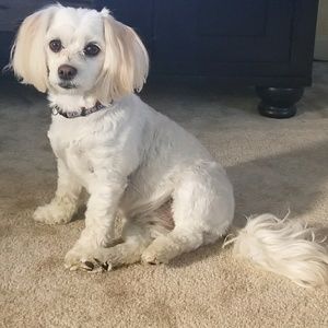 Meet your Posher, Tracy